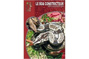 Le Boa constrictor Guide Reptilmag